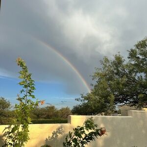 Can’t delete listing lol